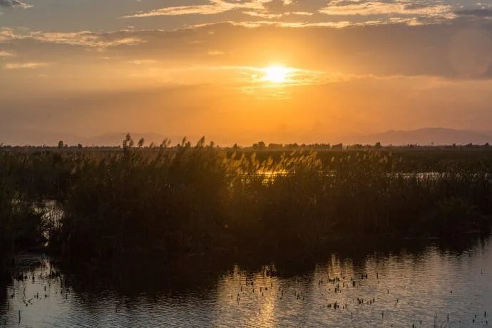 thung sam roi yot marsh - thailand