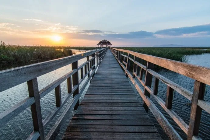 thung sam roi yot marsh - thailand