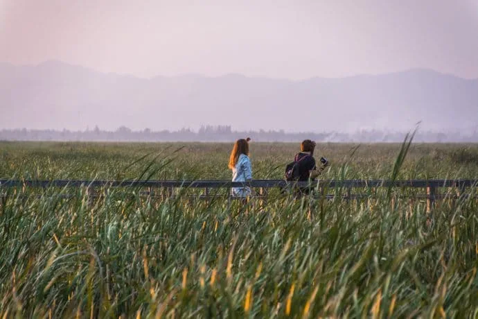 thung sam roi yot marsh - thailand