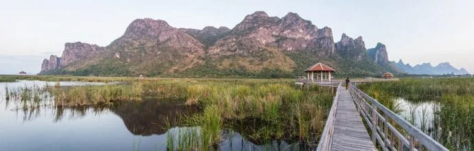 thung sam roi yot marsh - thailand