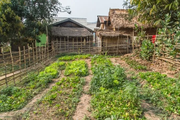 huay xai pakbeng journey - mekong cruise laos