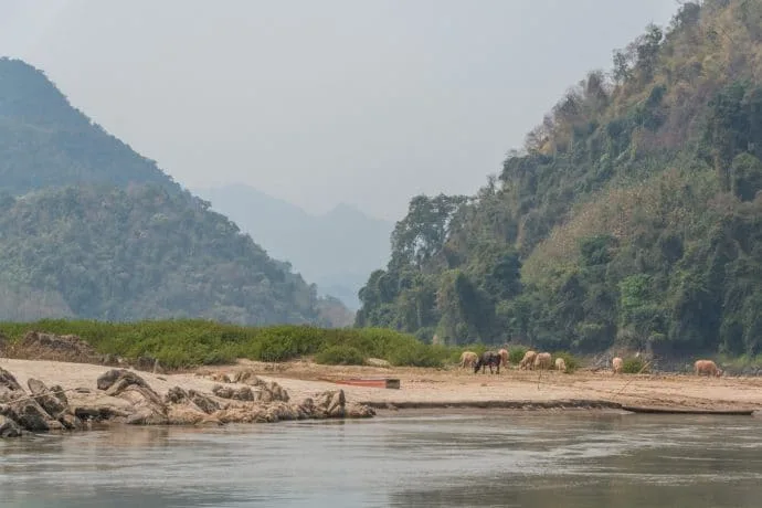 pakbeng luang prabang trip - mekong laos cruise