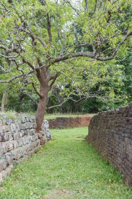 lion rock garden - sigiriya - sri lanka