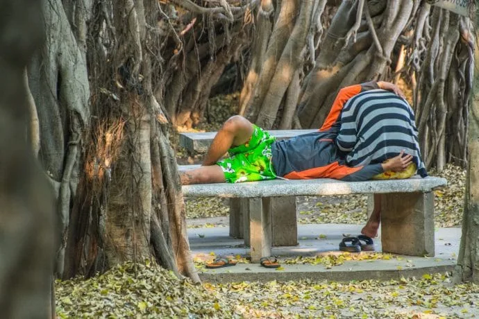 banyan tree sai ngam phimai - thailand