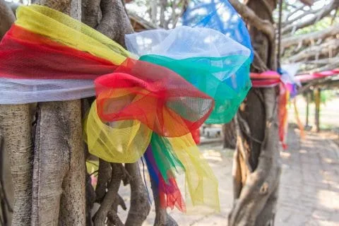 banyan tree sai ngam phimai - thailand
