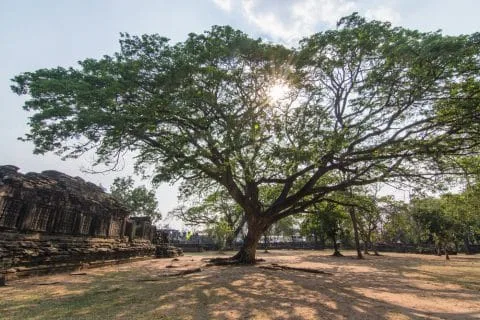 khmer temple prasat hin phimai - thailand