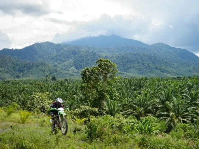 mountain khao phanom bencha krabi
