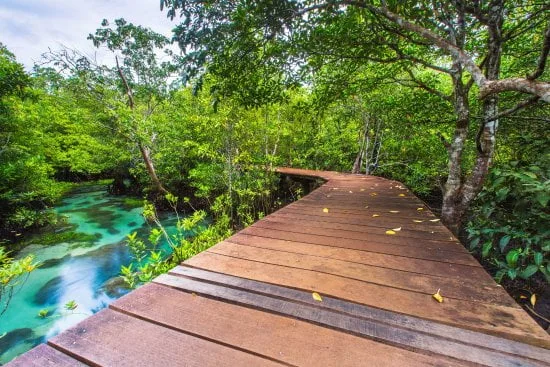 walk to the Tha Pom Khlong Song Nam site