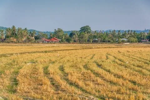 countryside langkawi island - malaysia