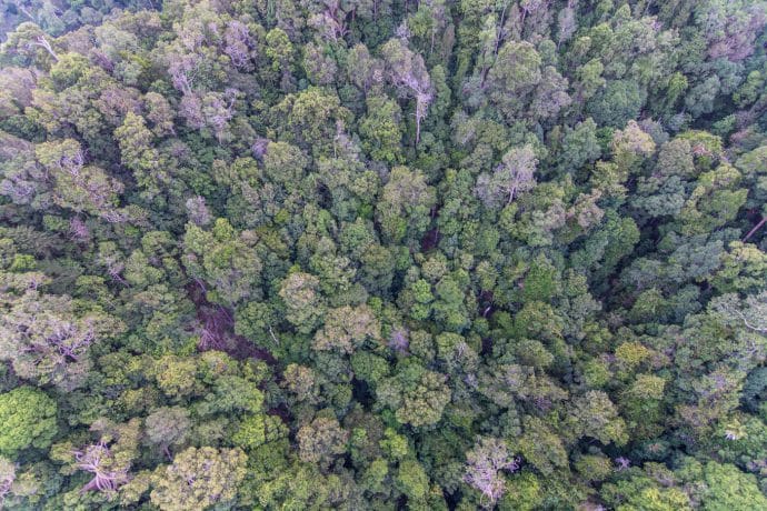 canopee vue skycab langkawi - malaisie