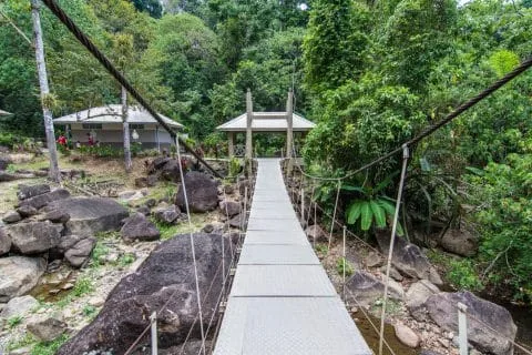 durian perangin waterfall langkawi - malaysia