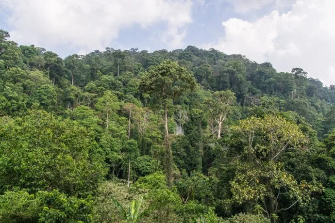 gunung raya langkawi drill - malaysia
