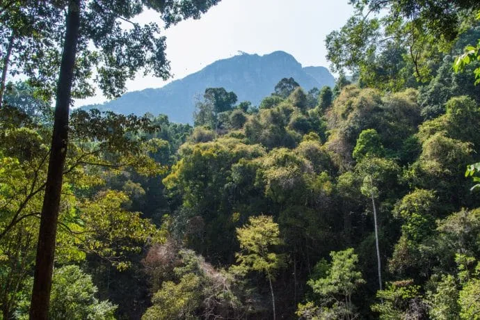 jungle seven wells waterfall langkawi - malaysia