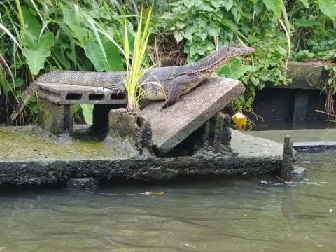 varan canals bangkok