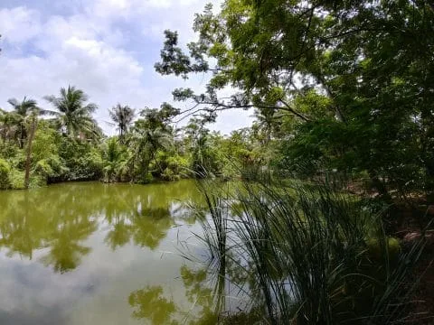 boat trip canals around lat mayom