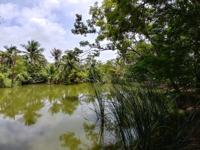 balade en bateau canaux autour de lat mayom