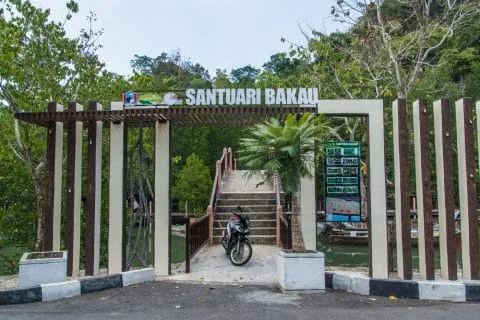 mangrove kilim geoforest park langkawi - malaysia