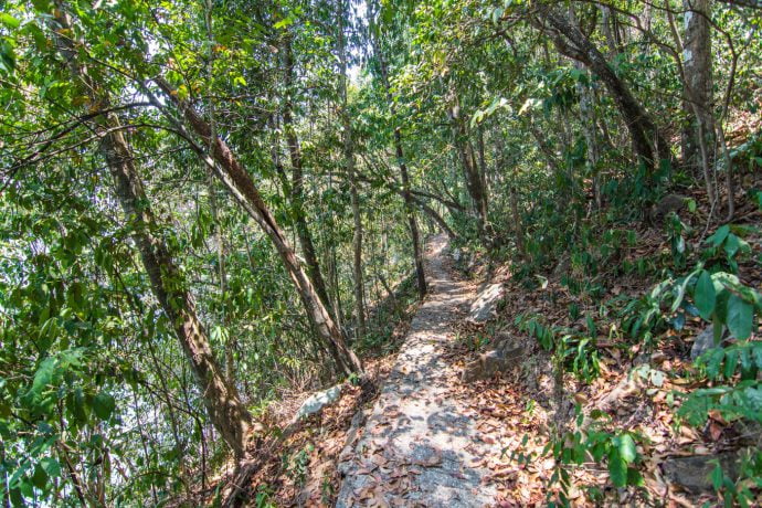 plage pasir tengkorak langkawi - malaisie