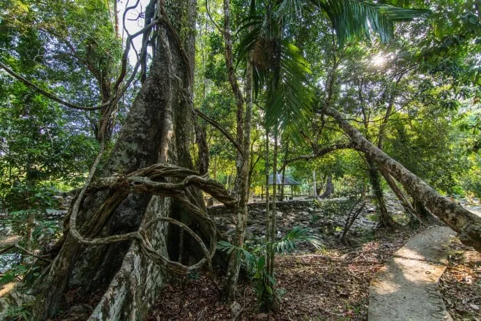 tangga helang seribu kenangan langkawi - malaysia