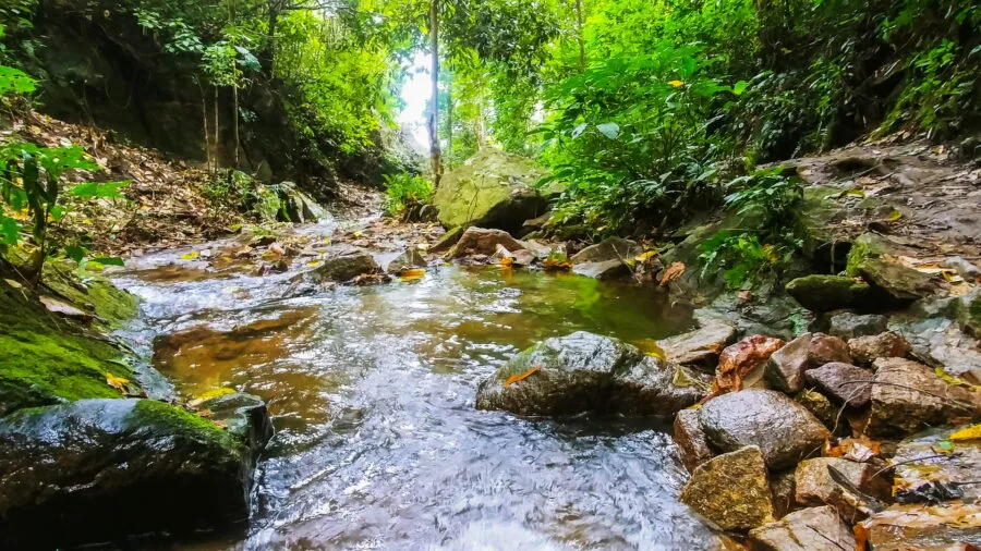 path leading to doi hua waterfall mae kham region mae salong