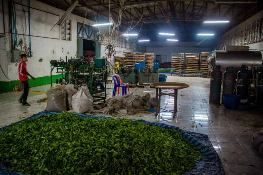 interior factory packaging wang put tan mae salong