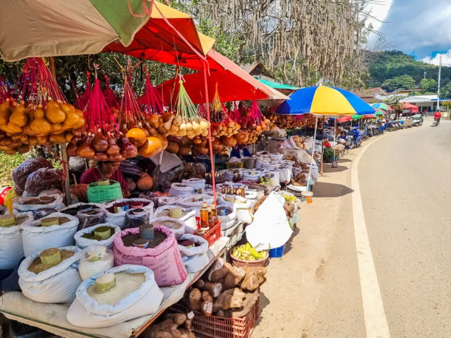 roadside market mae salong north thailand