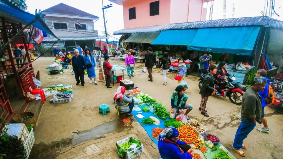 morning market mae salong north thailand