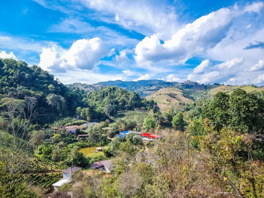 pana cafe village near mae salong