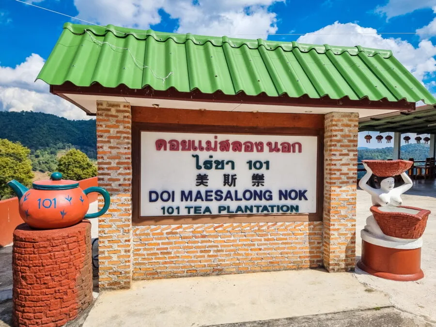 panel 101 tea plantation mae salong