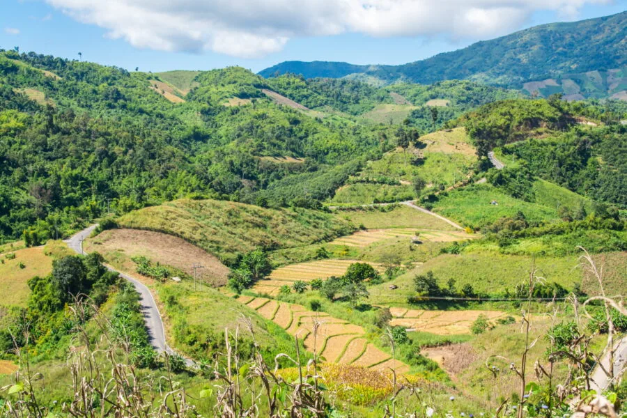 landscape road leading to doi hua mae kham