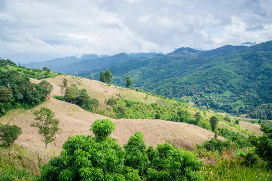 mae salong nai viewpoint north thailand