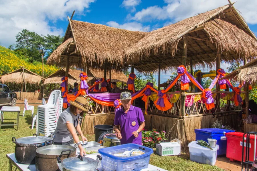 Mexican sunflower festival preparations doi hua mae kham