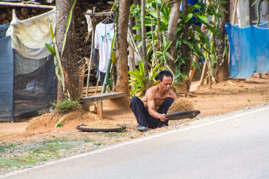 Scene of life on the road leading to Doi Hua Mae Kham
