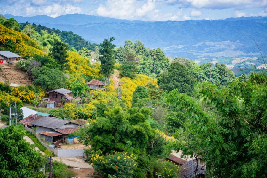 view from lisu village doi hua mae kham