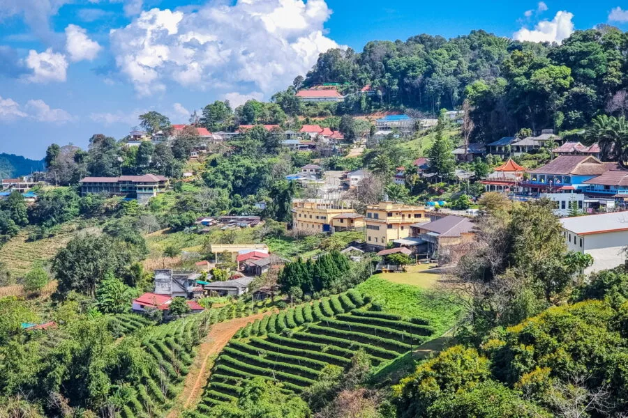 overview mae salong north thailand
