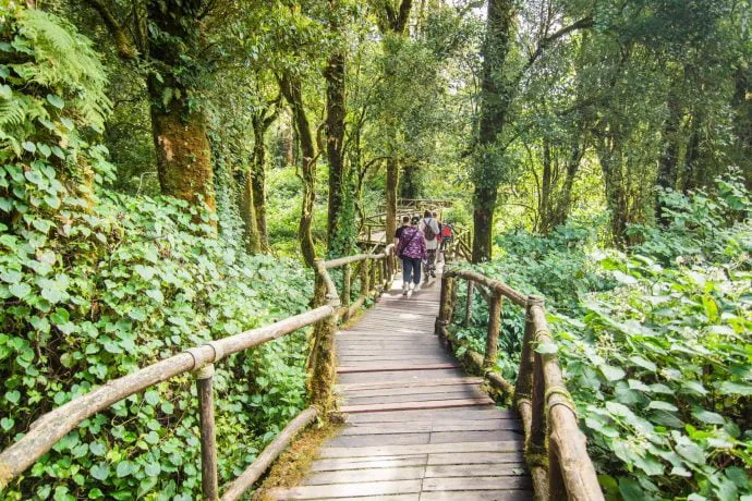 ang ka trail doi inthanon - chiang mai