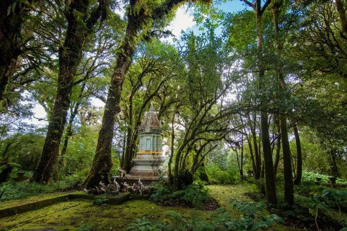 chedi at the top of doi inthanon - chiang mai