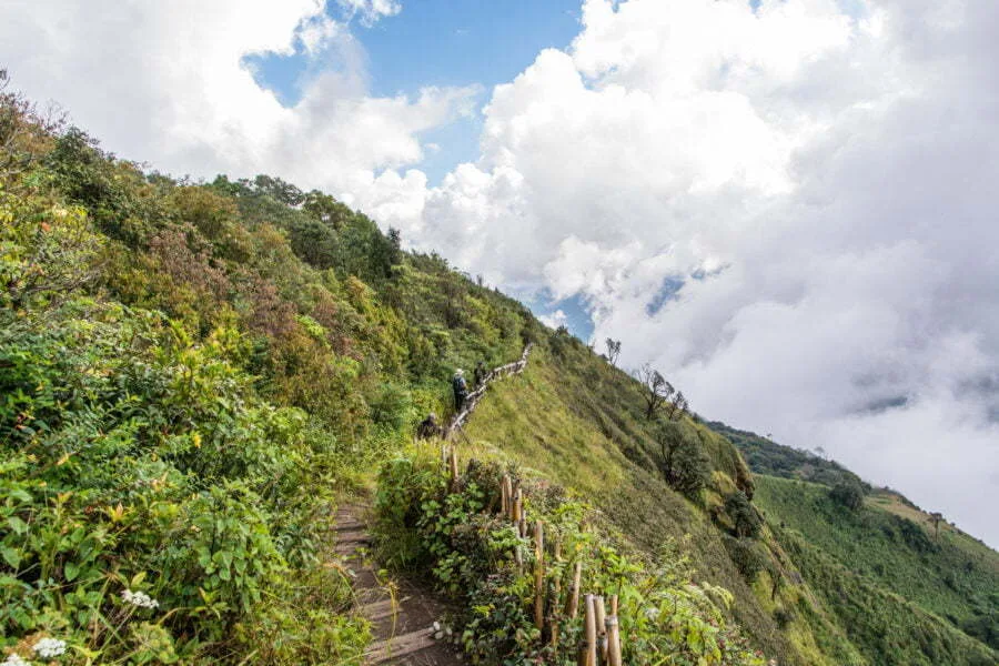 path crete kew mae pan doi inthanon - chiang mai - thailand