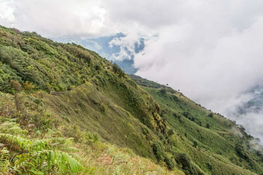 doi inthanon kew mae pan nature trail - thailand