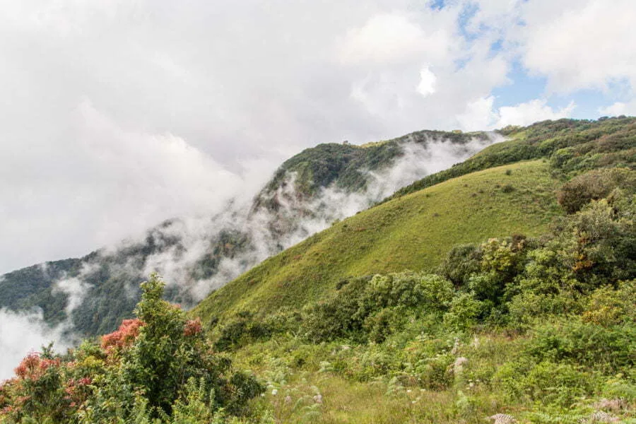 kew mae pan nature trail doi inthanon - thailand