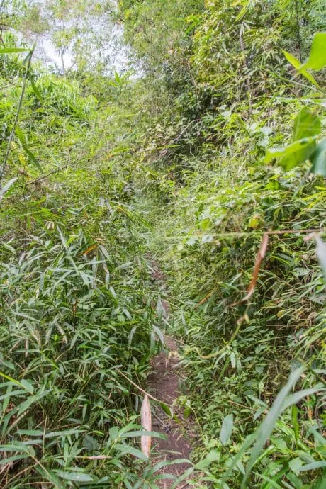 mae pan waterfall doi inthanon trail - chiang mai