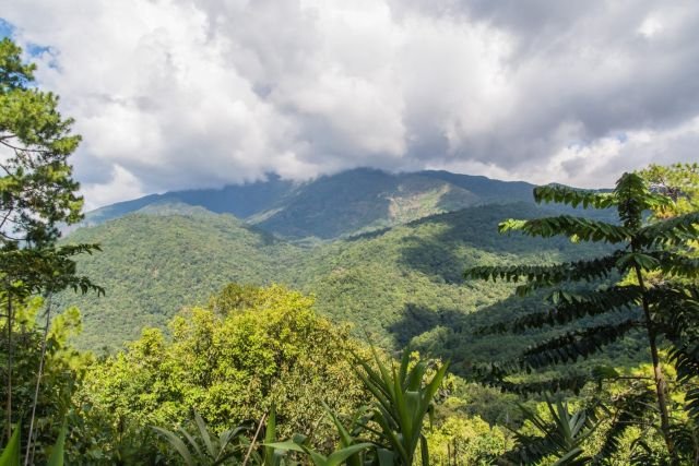 montagne doi inthanon - chiang mai