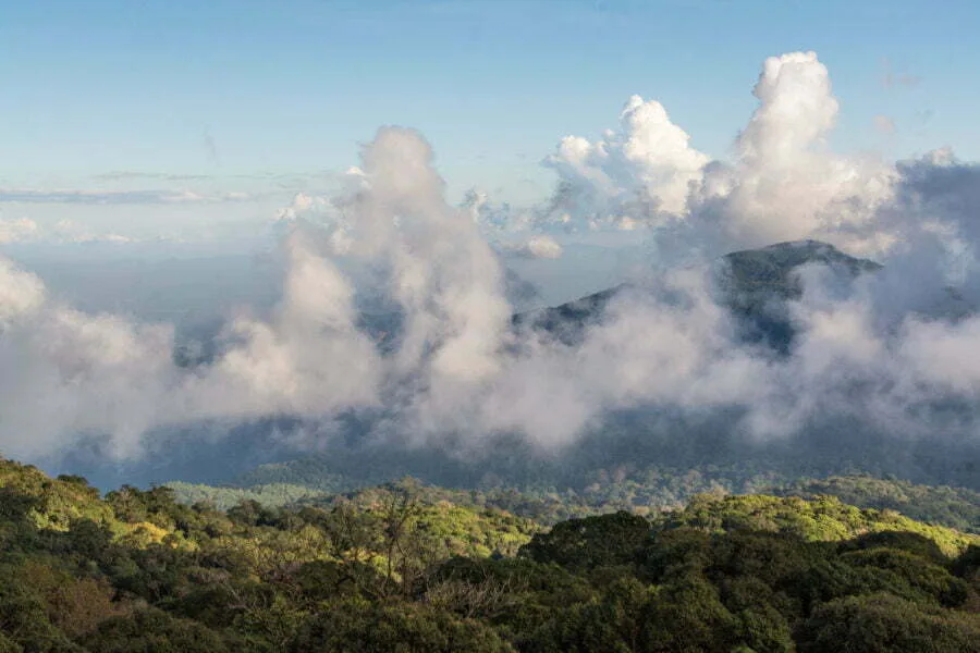 point of view doi inthanon kew mae pan - chiang mai - thailand
