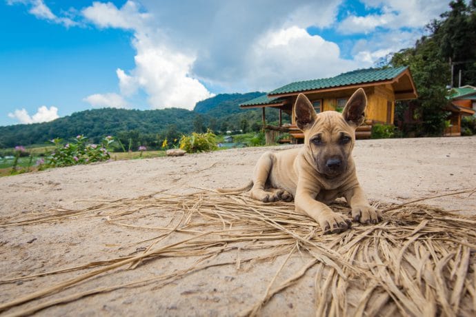 village ban mae klang doi inthanon - chiang mai