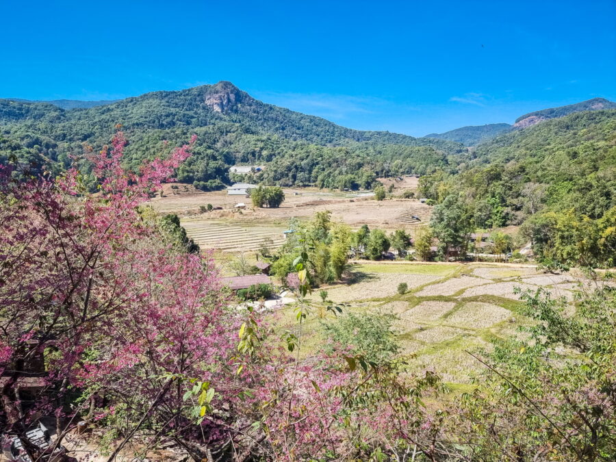 vue depuis cafe mae klang village doi inthanon en saison seche
