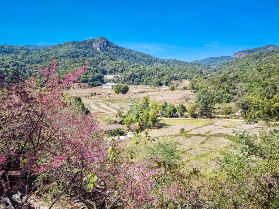 view from cafe mae klang village doi inthanon in dry season