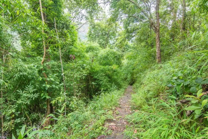 path leading to the top of wachirathan waterfall at doi inthanon - chiang mai