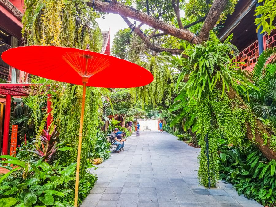 Ombrelle rouge dans une cour tropicale luxuriante
