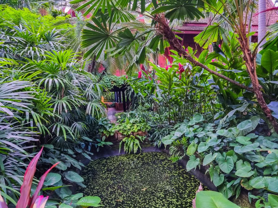 Jardin tropical luxuriant avec bassin, palmiers et fleurs roses