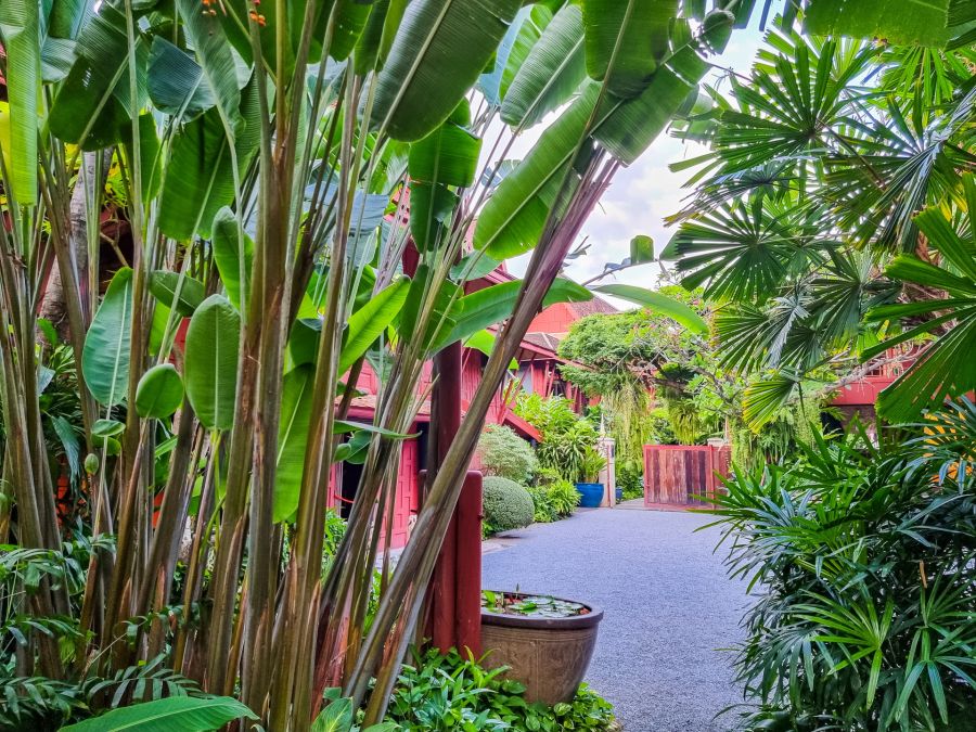 Jardin tropical luxuriant avec maison rouge et allée gravillonnée